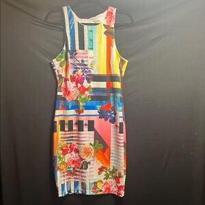 Bisou Bisou Bright Multicolor Floral Stripe Mini Dress